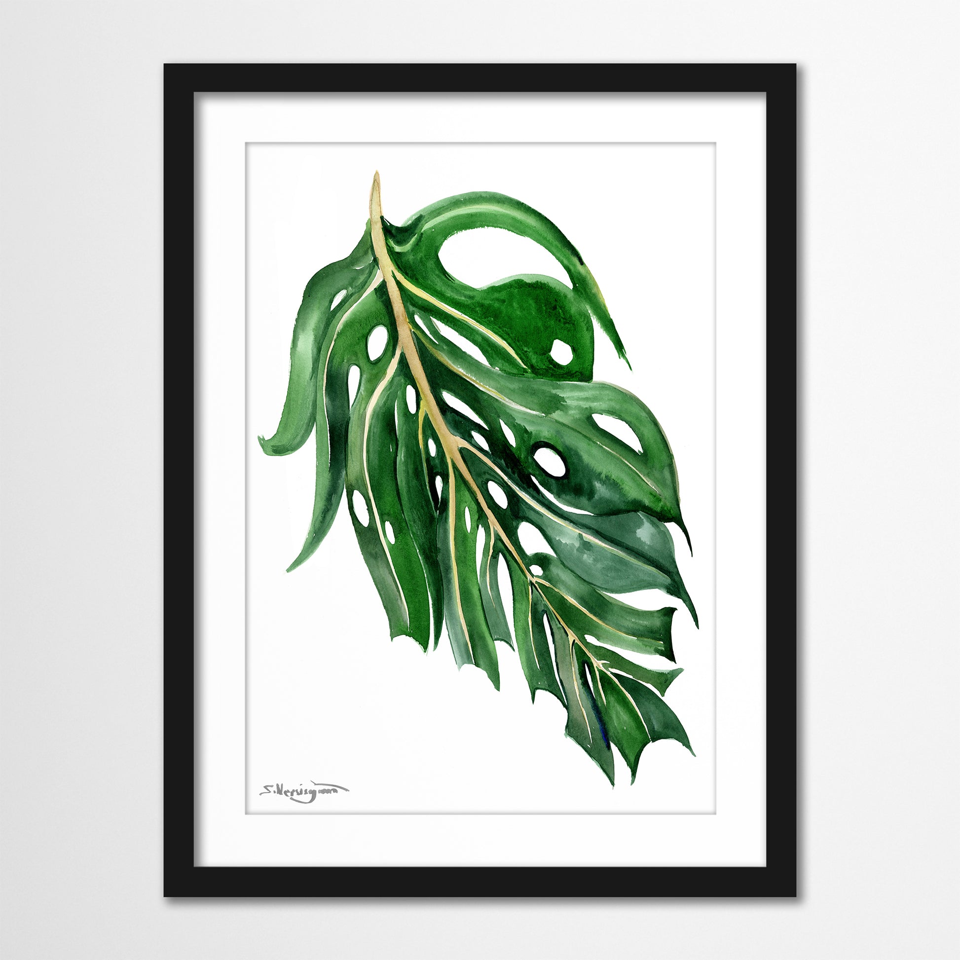 Hand Painted Watercolor Monstera Leaf - Limited Edition Fine Art - Americanflat