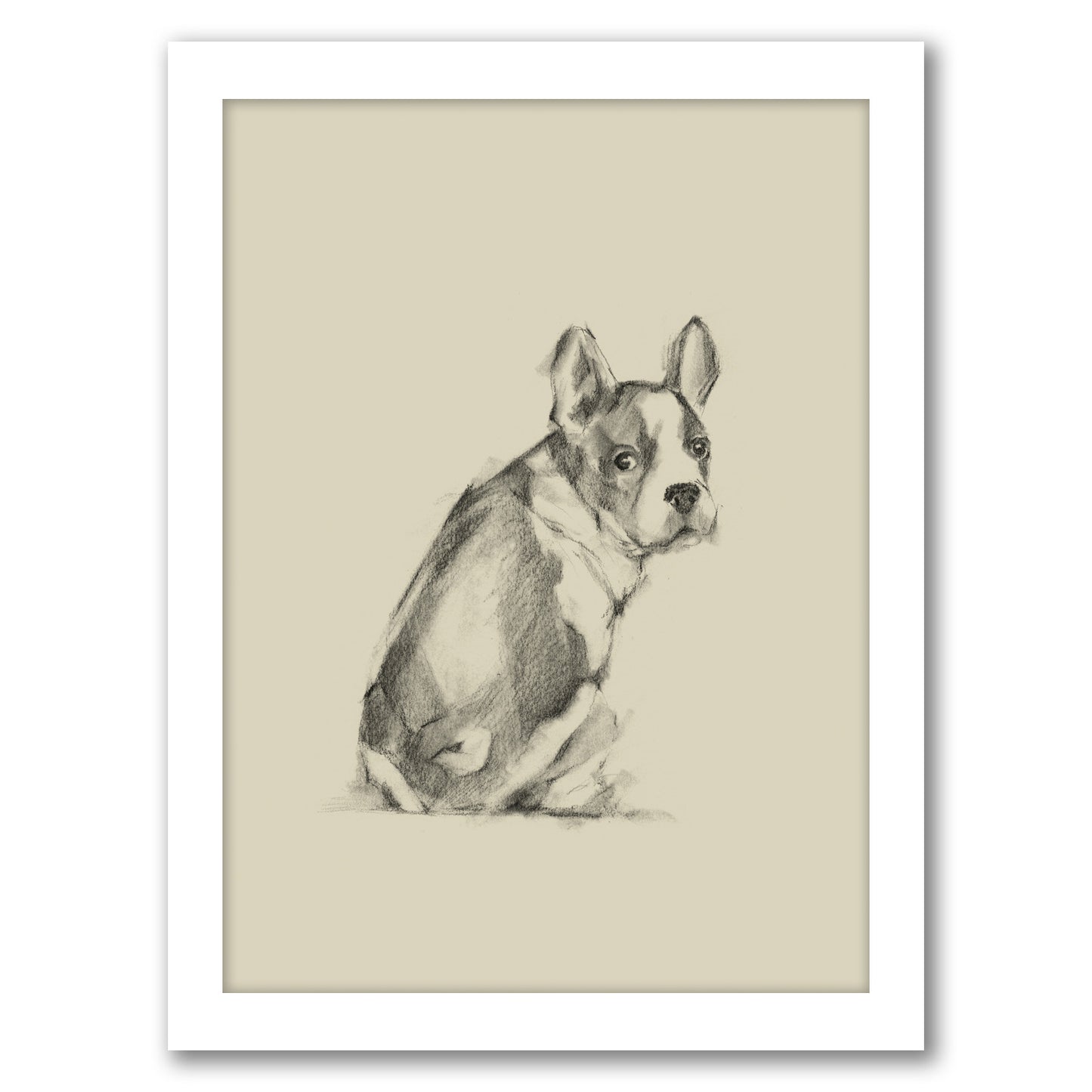 Puppy Dog Eyes IV by Ethan Harper by World Art Group - White Framed Print