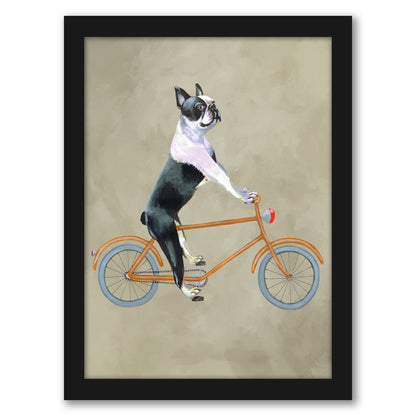 Boston Terrier On Bicycle By Coco De Paris - Framed Print