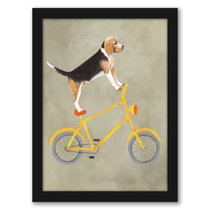Beagle On Bicycle By Coco De Paris - Framed Print