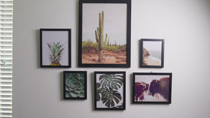 Black and White Modern Tropical Greenery - 6 Piece Framed Gallery Wall Set