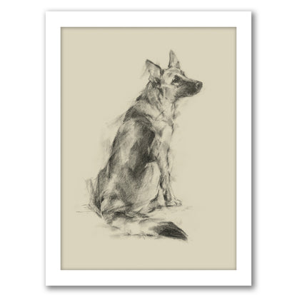 Puppy Dog Eyes V by Ethan Harper by World Art Group - Framed Print