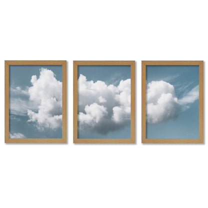 Fluffy Clouds by Mary Urban - 3 Piece Gallery Framed Print Art Set