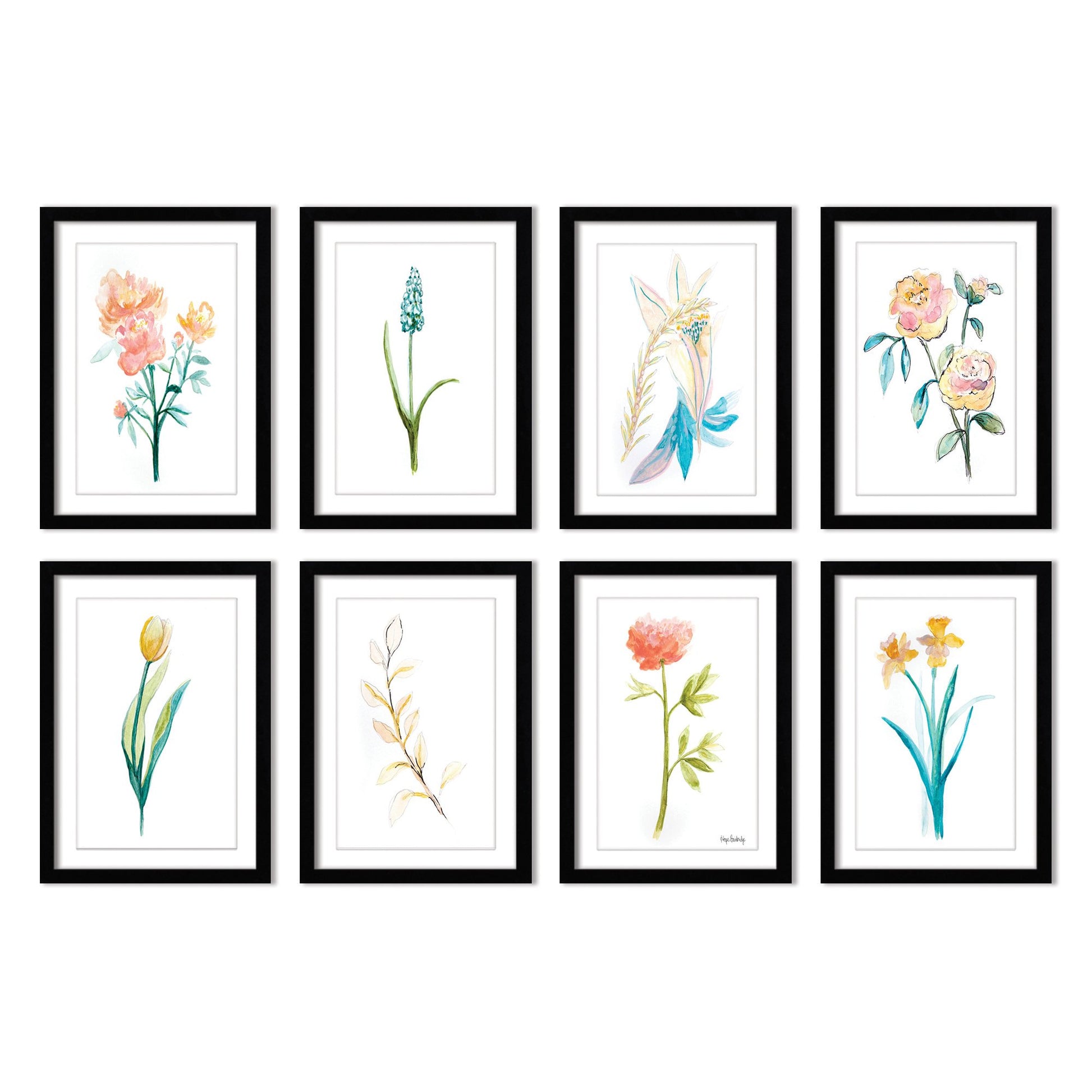 Watercolor Botanicals by Hope Bainbridge - 8 Piece Framed Art Set - Americanflat