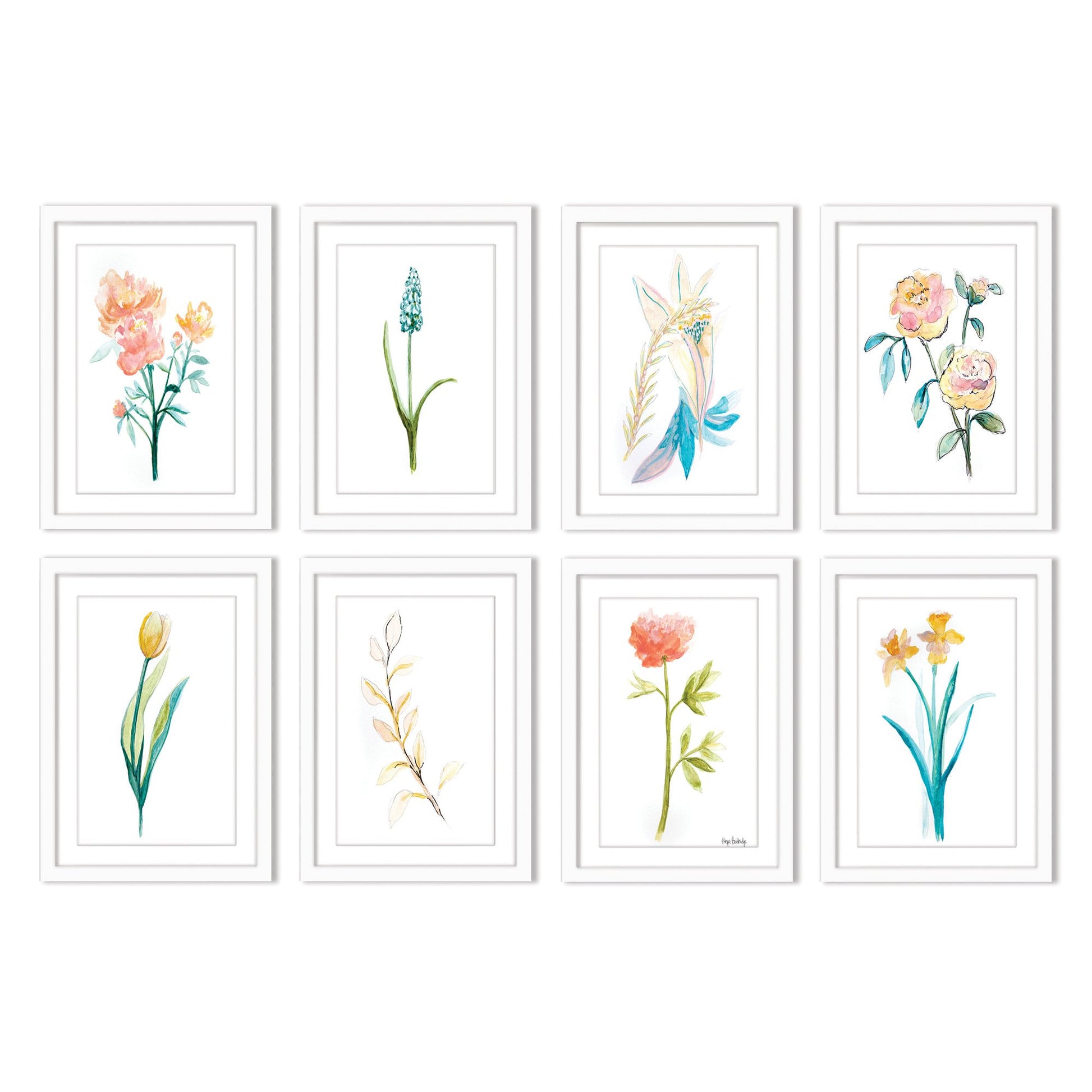 Watercolor Botanicals by Hope Bainbridge - 8 Piece Framed Art Set - Americanflat