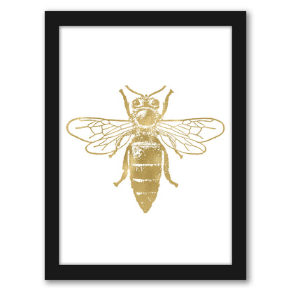 Bumblebee Gold On White by Amy Brinkman - Framed Print