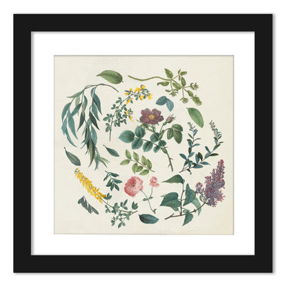 Fresh Florals - Set of 2 Framed Prints by Wild Apple - Americanflat