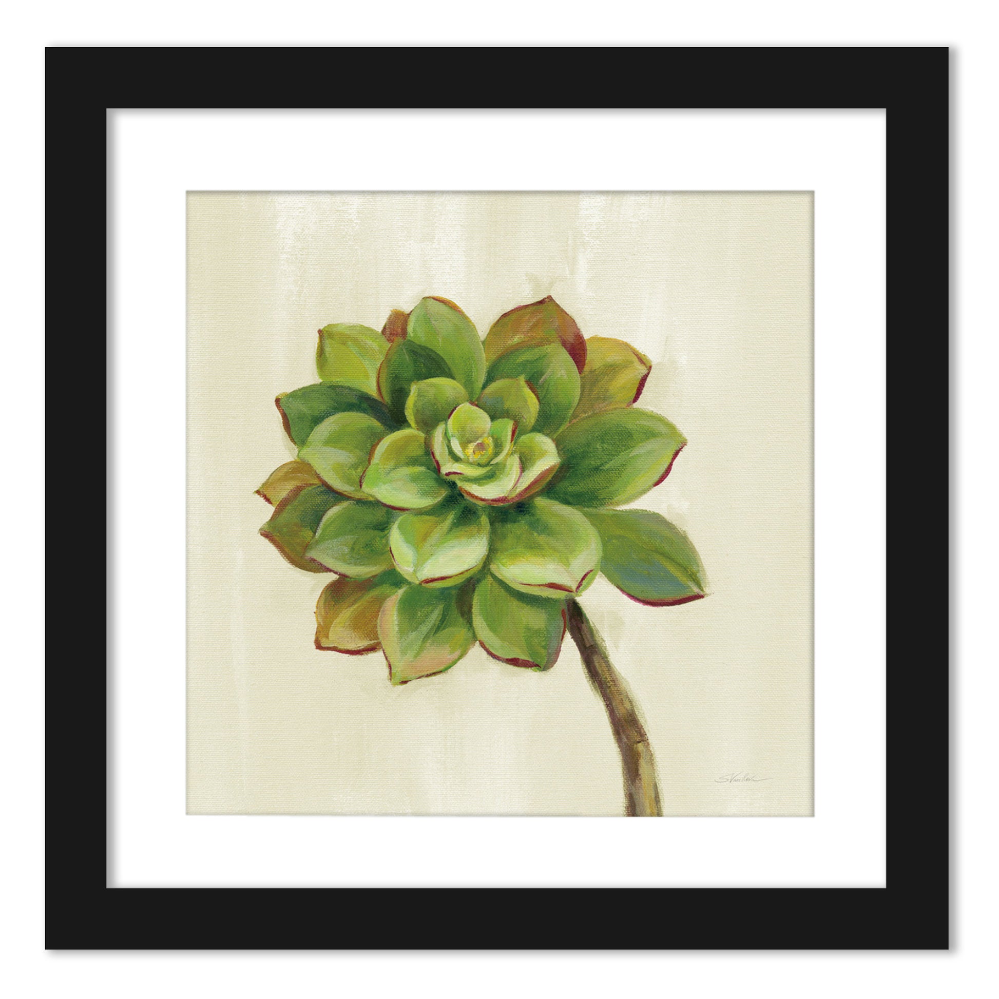 Watercolor Succulents - Set of 2 Framed Prints by Wild Apple - Americanflat