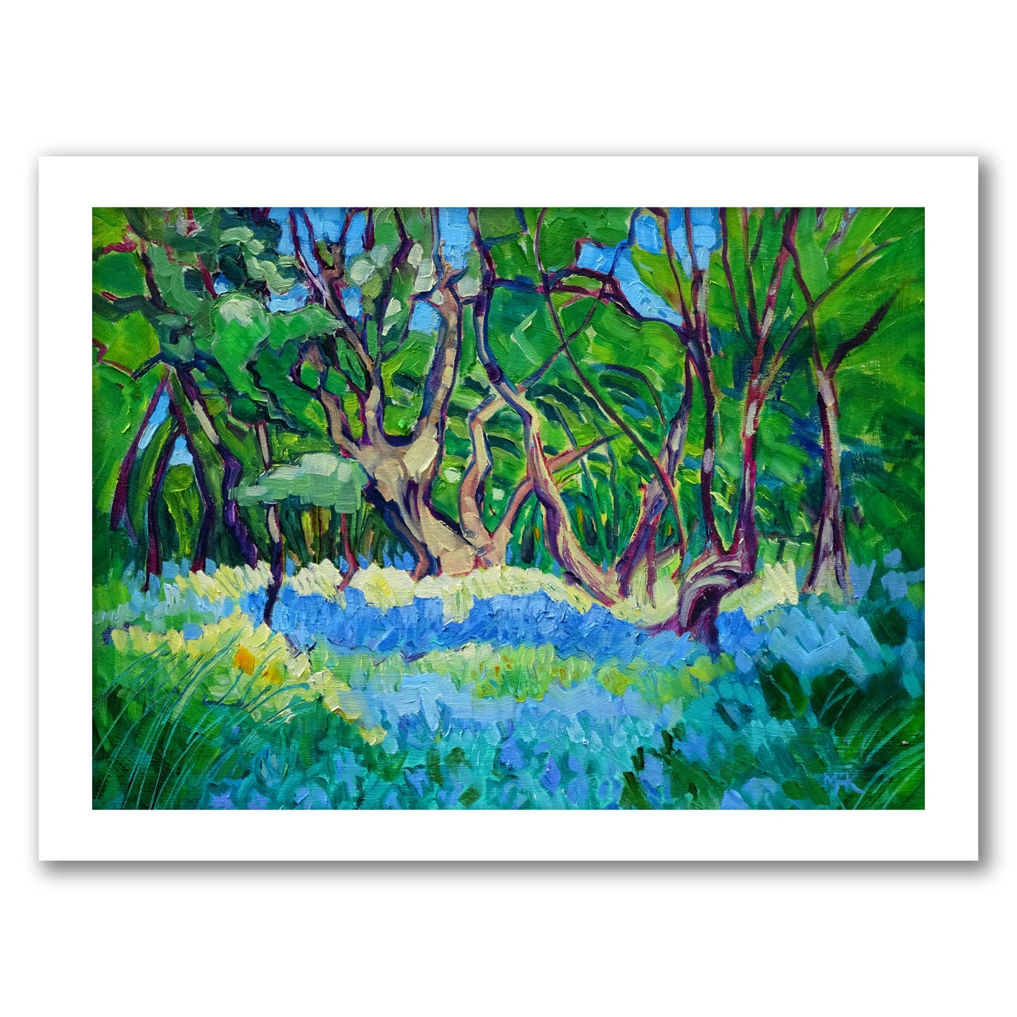 Bluebell Wood By Mary Kemp - White Framed Print