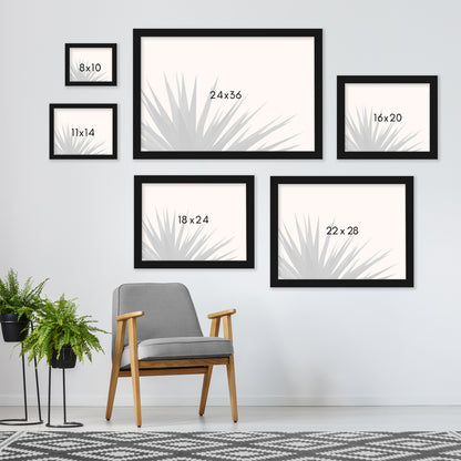 Black Palms On Pink by Emanuela Carratoni - Framed Print