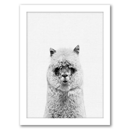 Alpaca 2 By Nuada - White Framed Print