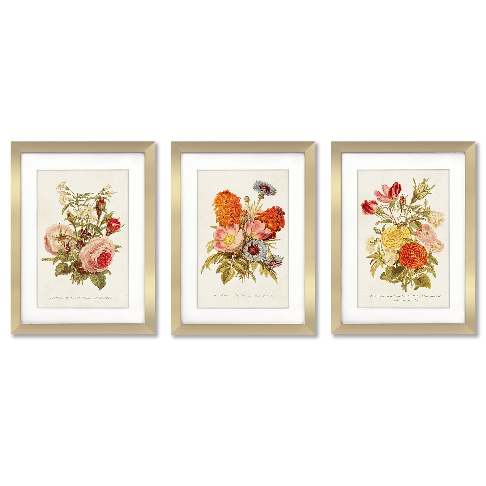 Set Antique Bouquet Floral 3 Art Wall – World Wall Gallery Americanflat Print Framed Group. Set of Art