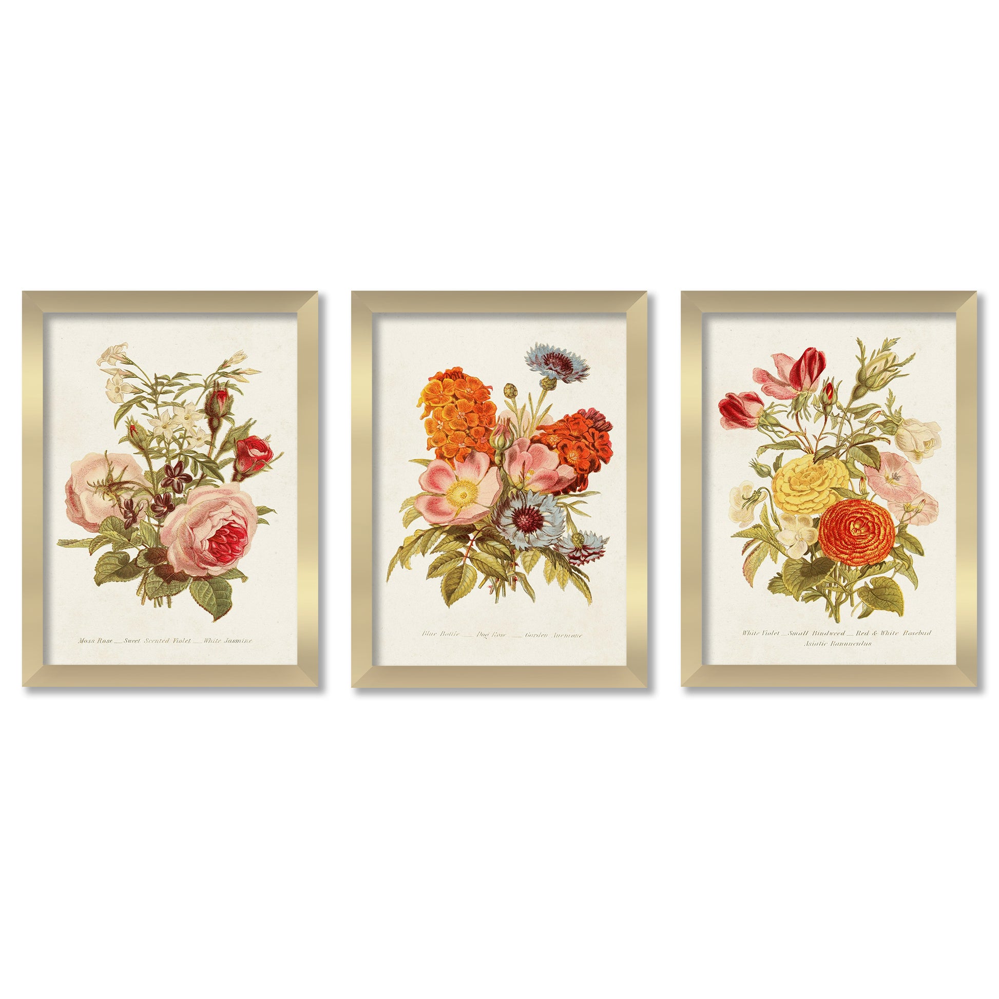 Wall Set of 3 Antique Floral Bouquet World Art Group. Framed Print Gallery Wall  Art Set – Americanflat
