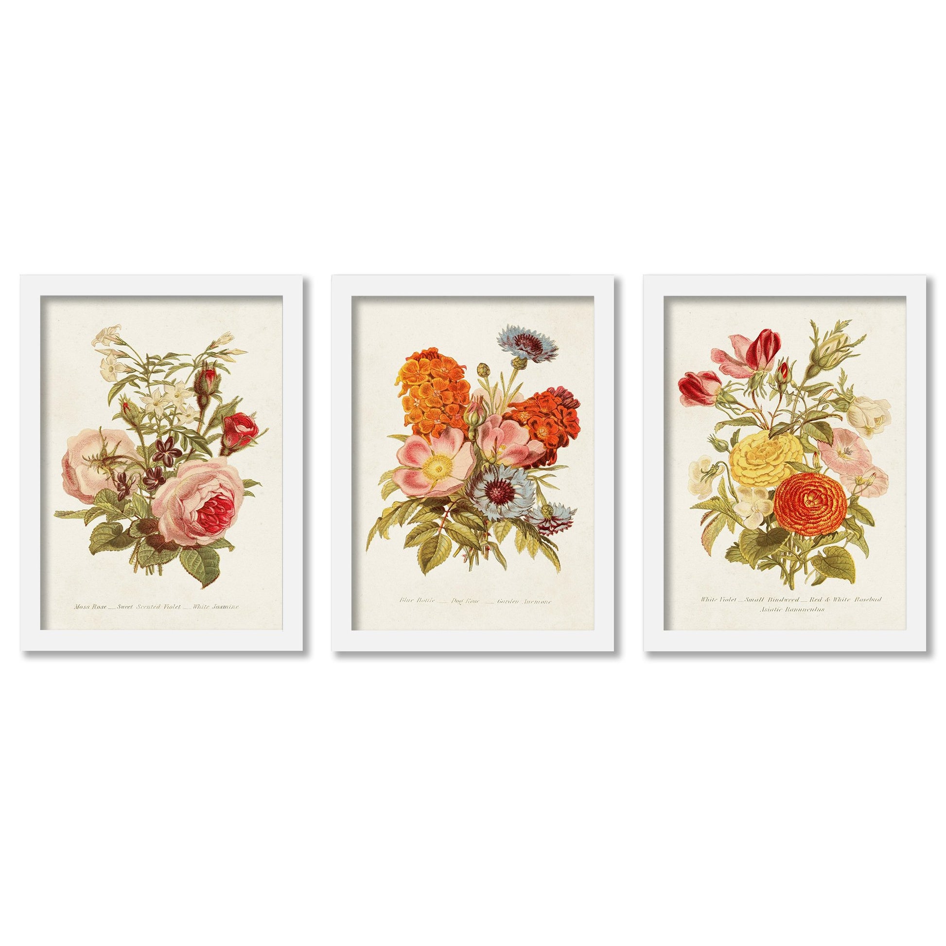 Wall Set of 3 Antique Floral Bouquet World Art Group. Framed Print Gallery Wall  Art Set – Americanflat