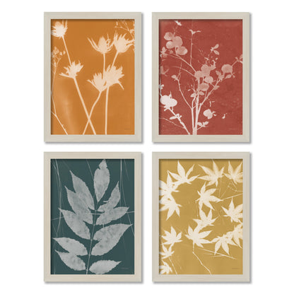 Fall Cyanotype by Silvia Vassileva - 4 Piece Gallery Framed Print Art Set