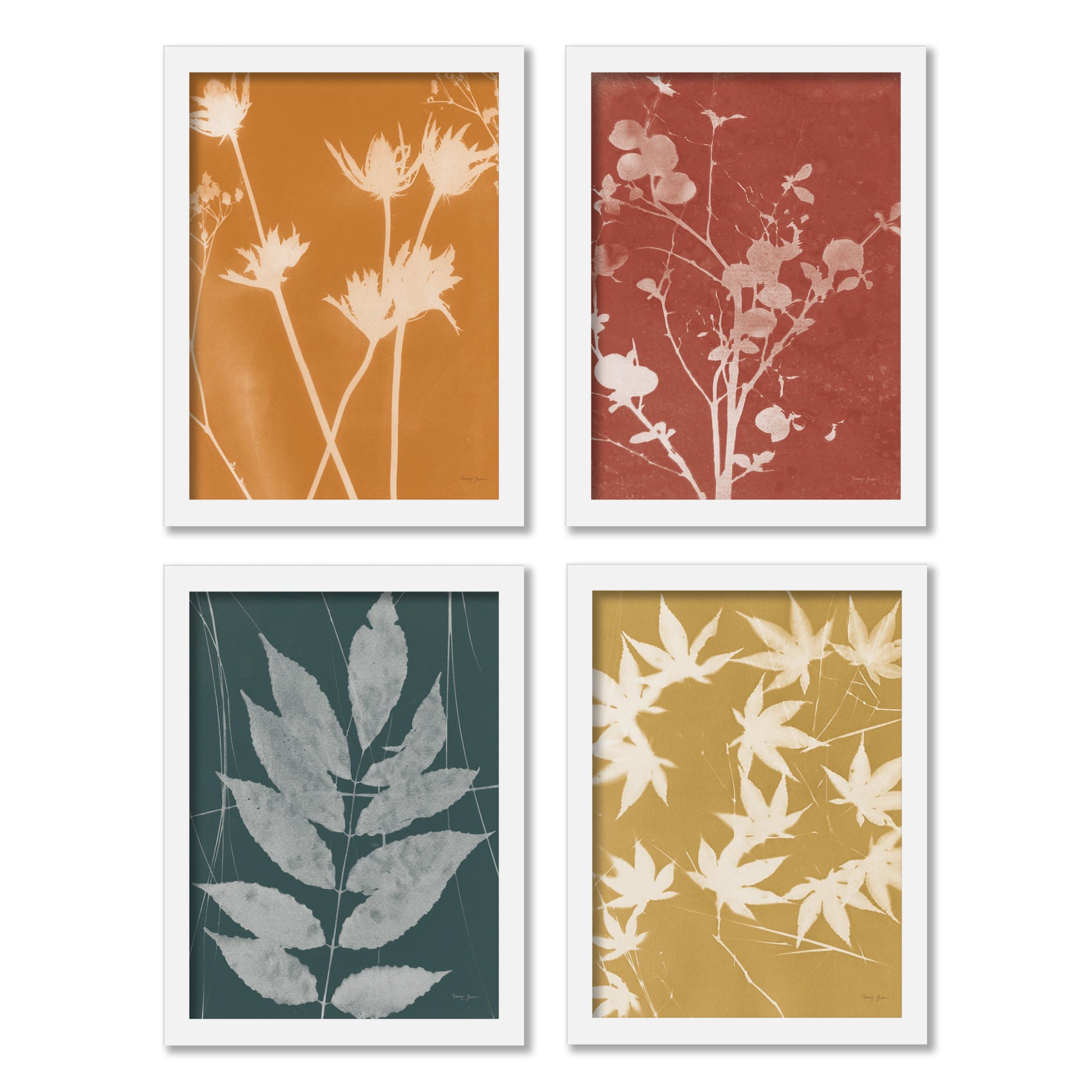 Fall Cyanotype by Nancy Green - 4 Piece Gallery Framed Print Art Set - Americanflat