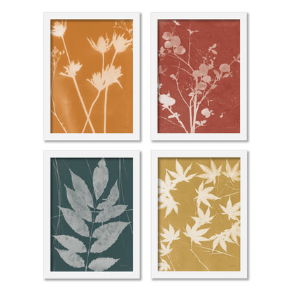 Fall Cyanotype by Nancy Green - 4 Piece Gallery Framed Print Art Set - Americanflat