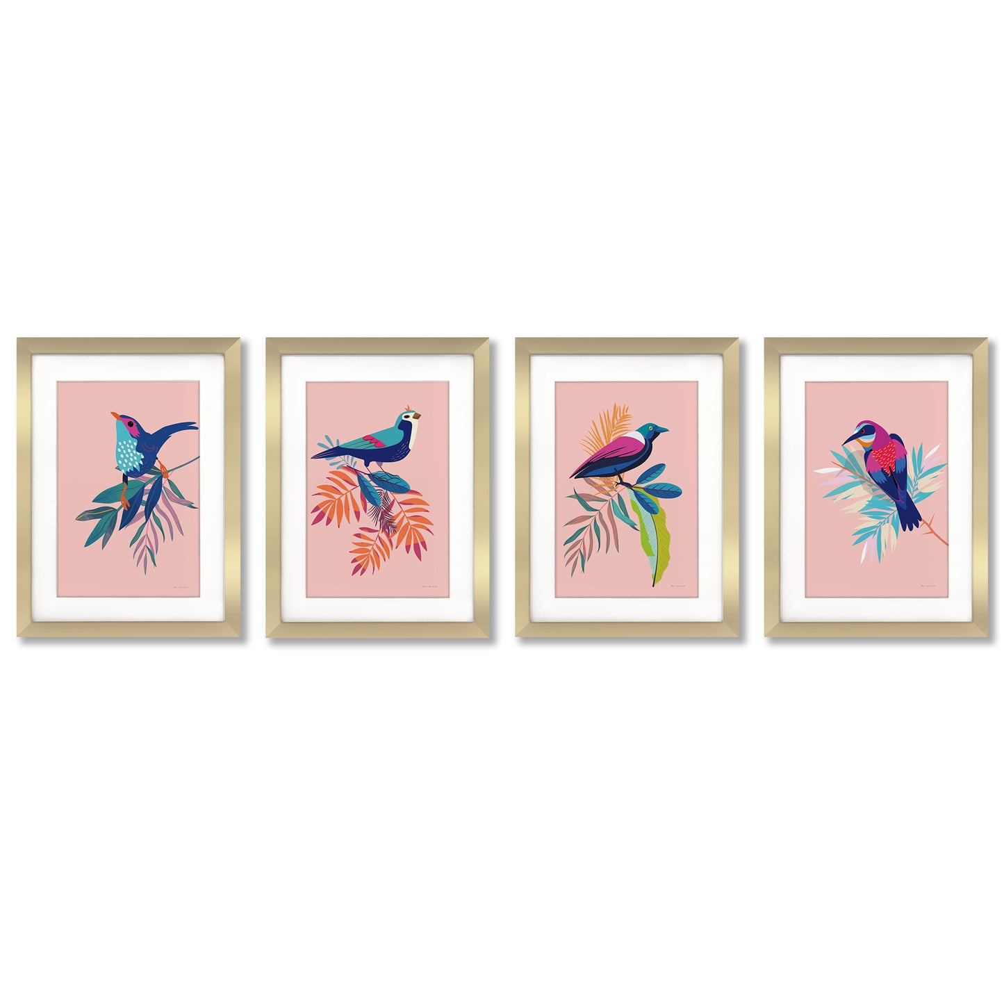 Exotic Birds by Silvia Vassileva - 4 Piece Gallery Framed Print with Mat Art Set