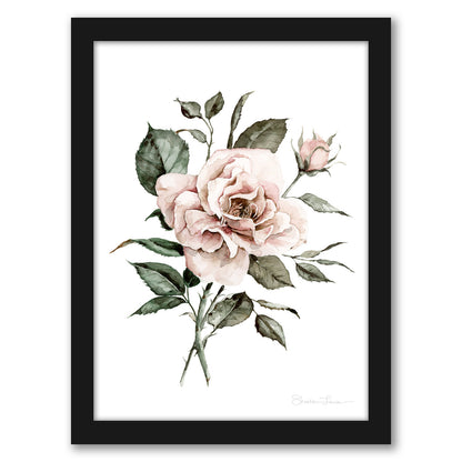 Faded Pink Rose by Shealeen Louise - Framed Print