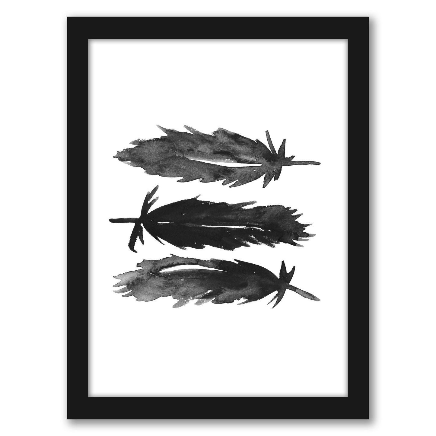 Black Watercolor Feathers by Jetty Home - Framed Print