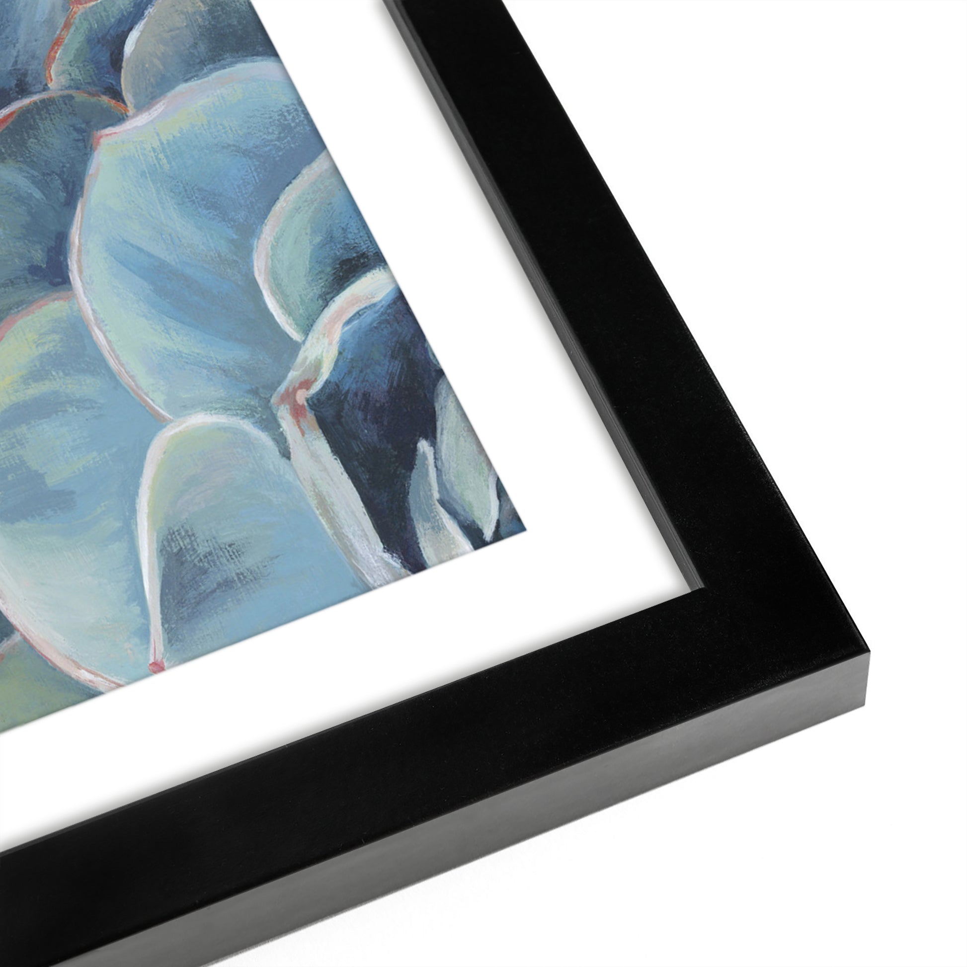 Blue Succulent Study - Set of 2 Framed Prints by PI Creative - Americanflat