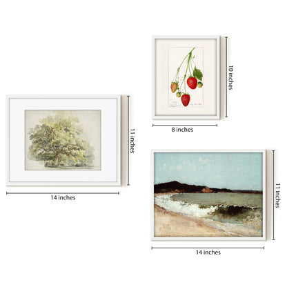 3 Piece Vintage Gallery Wall Art Set - Nature's Delicacy Art by Wall + Wonder