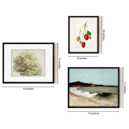 3 Piece Vintage Gallery Wall Art Set - Nature's Delicacy Art by Wall + Wonder