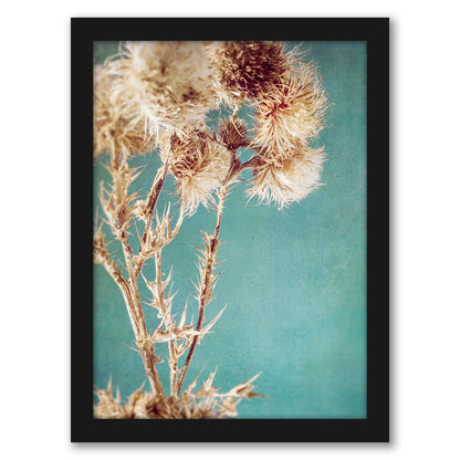 Thistles by Annie Bailey - Framed Print