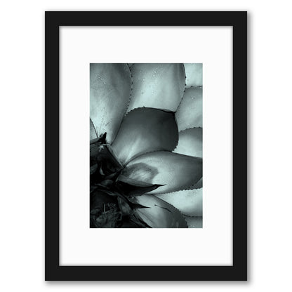 Succulent 3 By Nuada - Framed Print