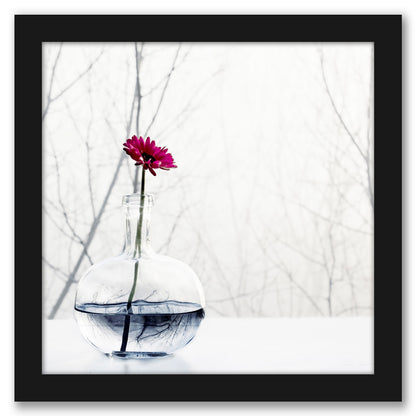 Misty Morning by Ingrid Beddoes - Framed Print