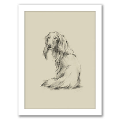 Puppy Dog Eyes II by Ethan Harper by World Art Group - White Framed Print