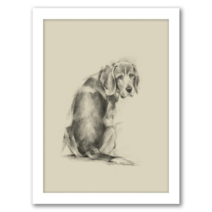 Puppy Dog Eyes I by Ethan Harper by World Art Group - White Framed Print