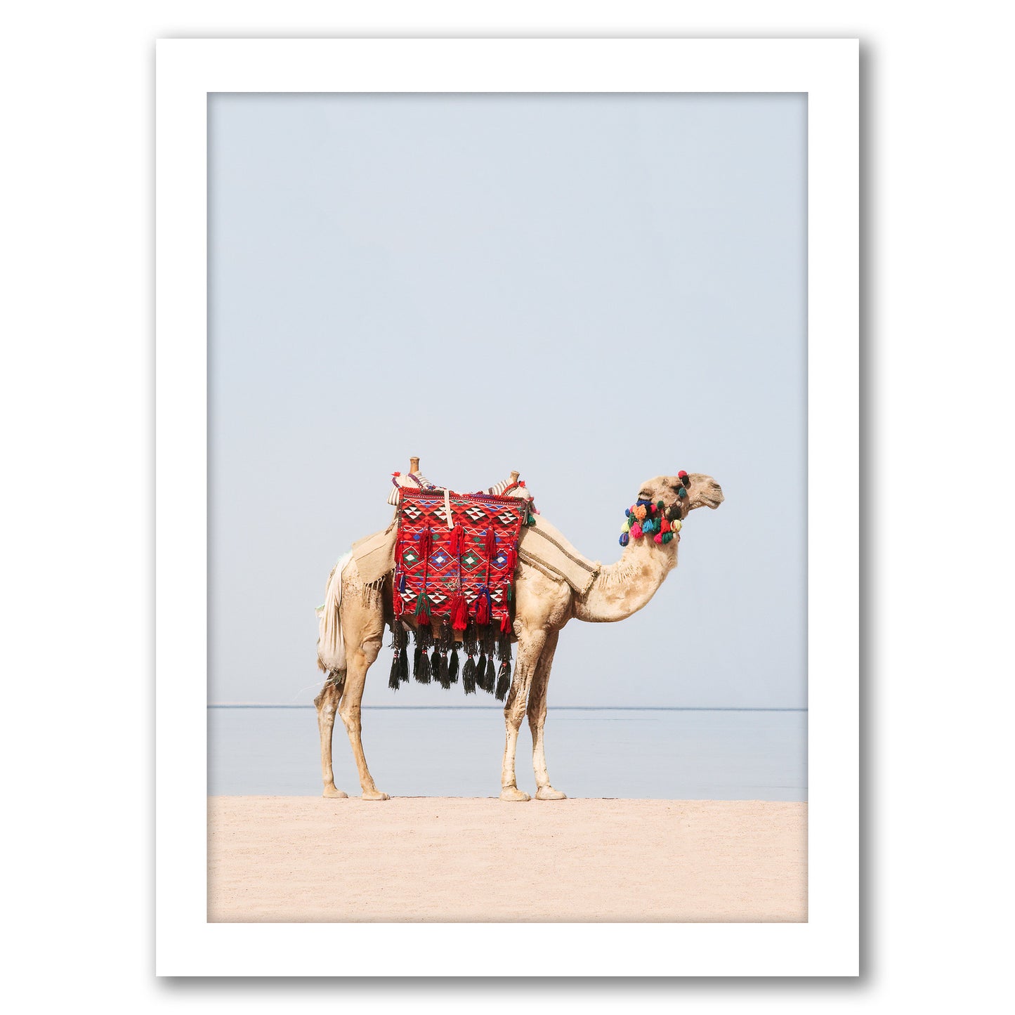 Desert Camel By Sisi And Seb - Framed Print