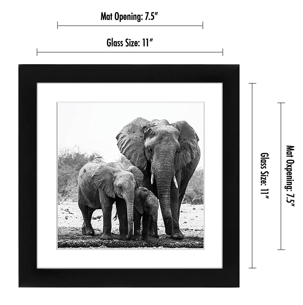 Picture Frame in Black with Lead Free Shatter Resistant Glass - Wall Mounted - 11" x 11" - Pack of 15 - Picture Frame - Americanflat