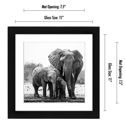 Picture Frame in Black with Lead Free Shatter Resistant Glass - Wall Mounted - 11" x 11" - Pack of 15 - Picture Frame - Americanflat