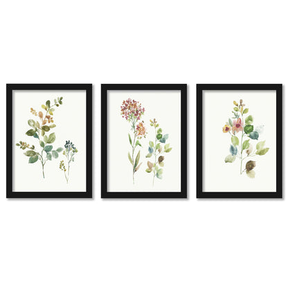 Botanical Illustrations by Asia Jensen - 3 Piece Gallery Framed Print Art Set - Americanflat