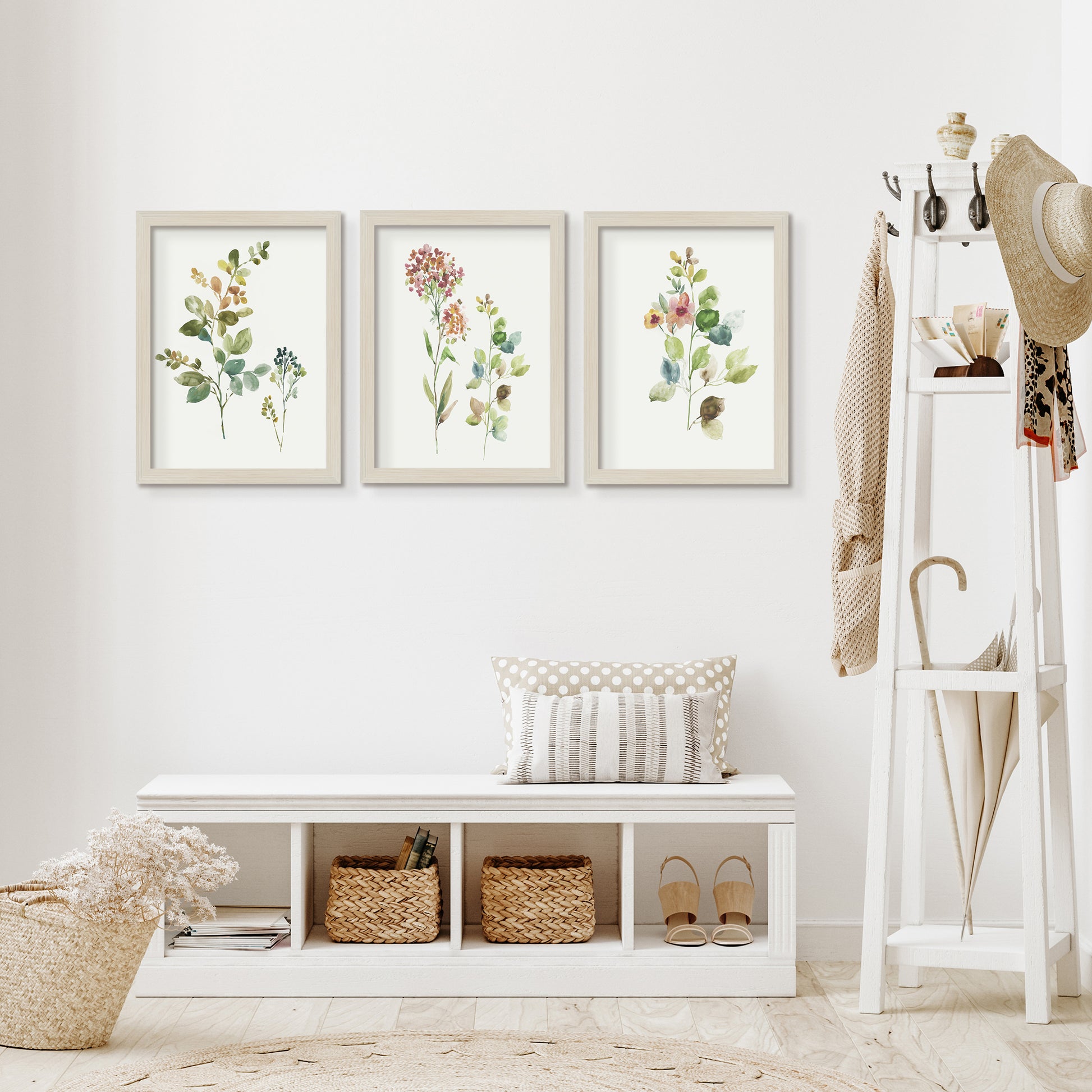 Botanical Illustrations by Asia Jensen - 3 Piece Gallery Framed Print Art Set