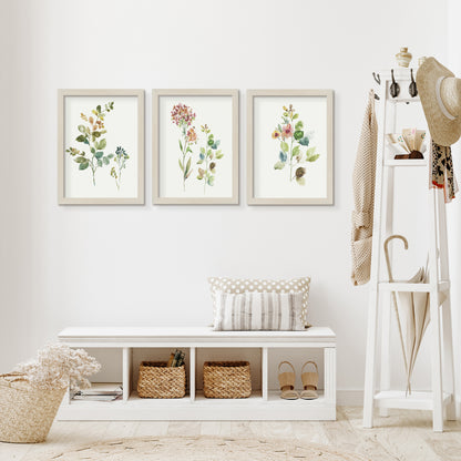 Botanical Illustrations by Asia Jensen - 3 Piece Gallery Framed Print Art Set