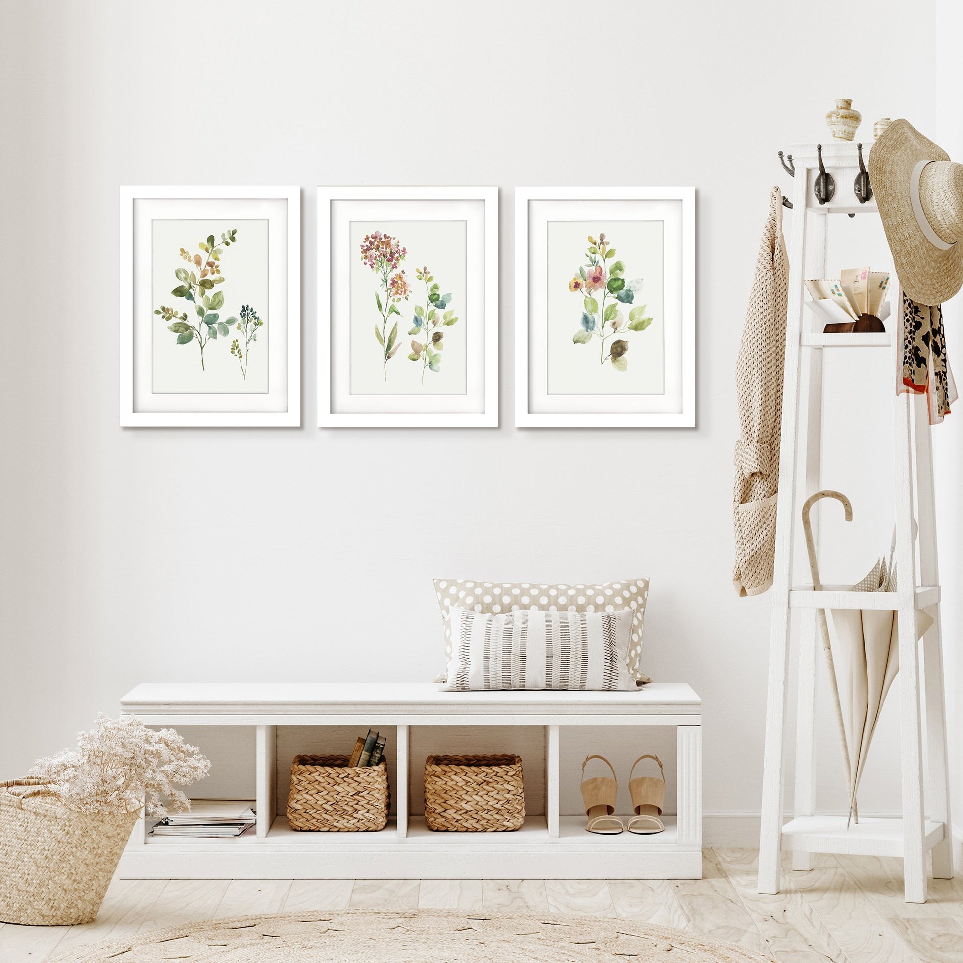 Botanical Illustrations by Asia Jensen - 3 Piece Gallery Framed Print Art Set - Americanflat
