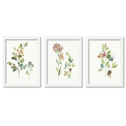 Botanical Illustrations by Asia Jensen - 3 Piece Gallery Framed Print Art Set - Americanflat