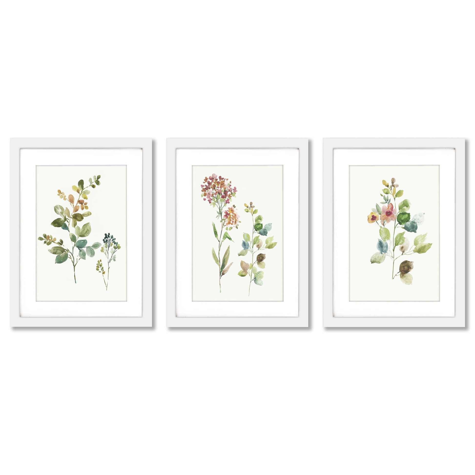 Botanical Illustrations by Asia Jensen - 3 Piece Gallery Framed Print Art Set - Americanflat