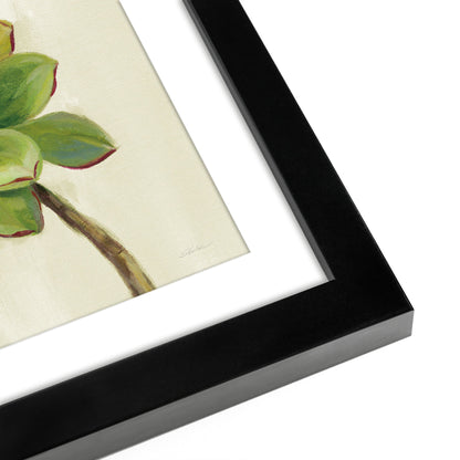 Watercolor Succulents - Set of 2 Framed Prints by Wild Apple - Americanflat