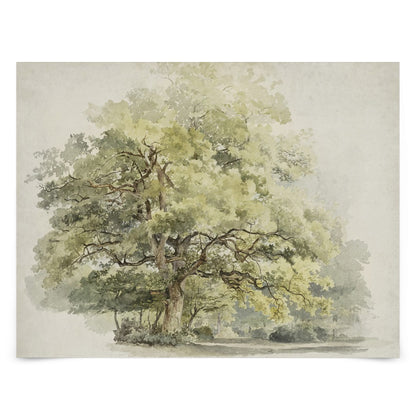 3 Piece Vintage Gallery Wall Art Set Poster - Nature's Delicacy Art by Wall + Wonder - Prints