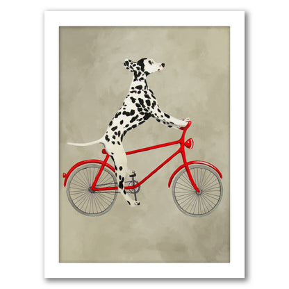 Dalmatian On Bicycle By Coco De Paris - White Framed Print