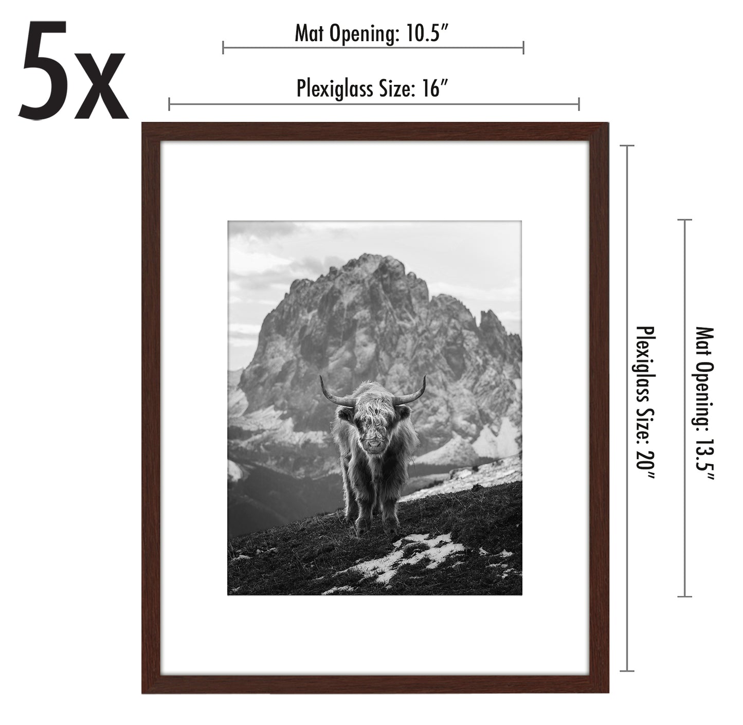 5 Pack - Gallery Wall Picture Frame | Choose Size and Color