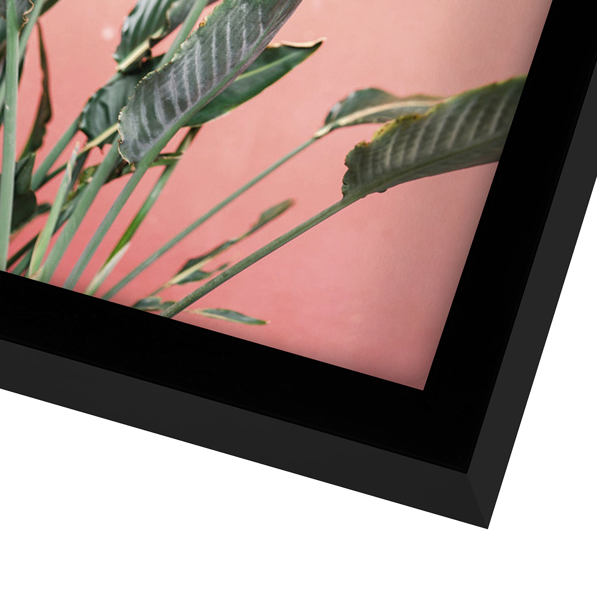 Green on Coral Coast - 6 Piece Shadowbox Frame Gallery Wall Art Set