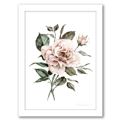 Faded Pink Rose by Shealeen Louise - Framed Print