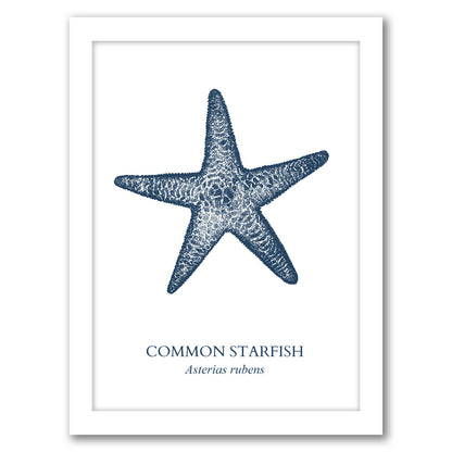 Starfish Sea by Samantha Ranlet - Framed Print