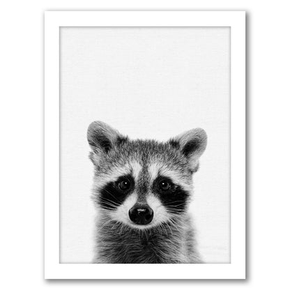 Raccoon By Nuada - White Framed Print