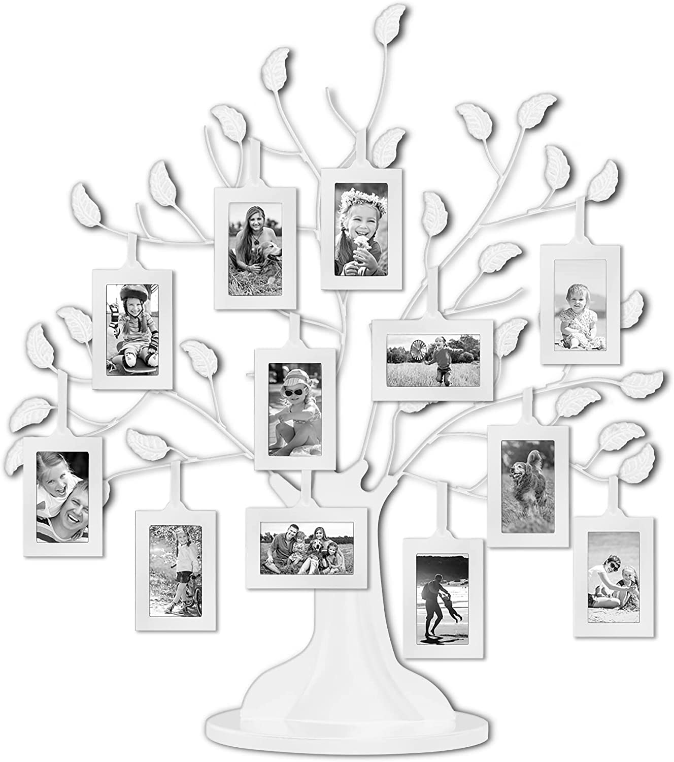 Black & White Family Tree with 6 or 12 Hanging Picture Frames and Adjustable Ribbon Tassels - Variety of sizes